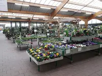 Jardiland