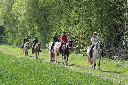 Trotte la Vivelle - Centre de Tourisme Equestre - Poney Club