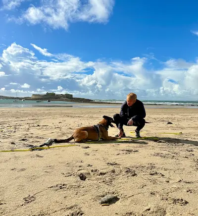 Dans Son Regard - Refuge et Éducateur Comportementaliste Canin