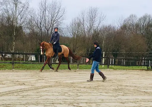 Les Ecuries d'Akerman - Pension Pour Chevaux Morbihan