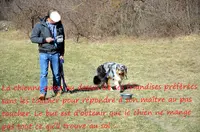 Educateur Canin Comportementaliste. le Secret des Chiens