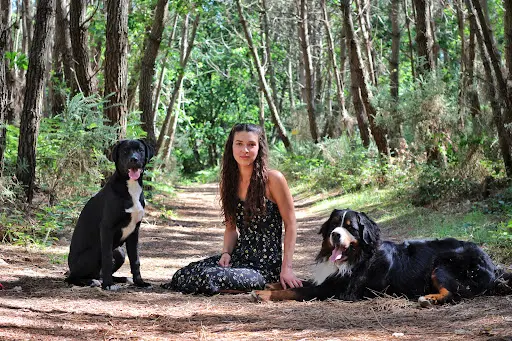 Marie Éducatrice Canin & Praticienne en Emdr Animal | Morbihan & Finistère