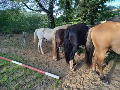 Ker Ehwaz Equitation