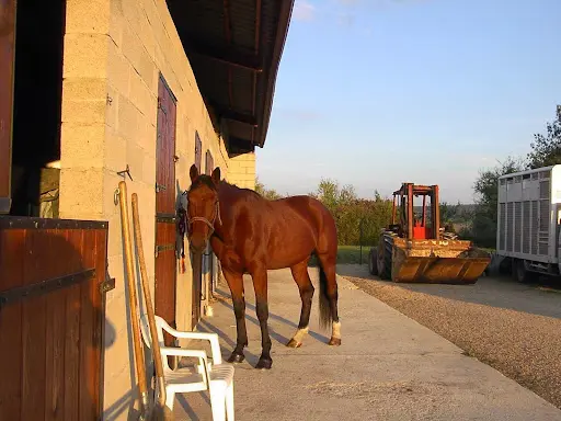 Haras du May