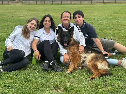 Domaine de Sanctae Crucis : Élevage de Berger Allemand et Pension Canine Dans le Haut-rhin en France
