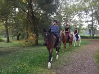 Ferme Equestre d'Halco