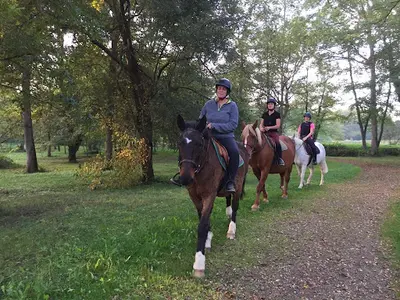 Ferme Equestre d'Halco