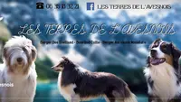 Les Terres de l'Avesnois
