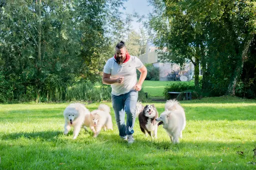 l'Ombre du Sam : Éducateur Canins Diplômé d'État - Garde de Chiens