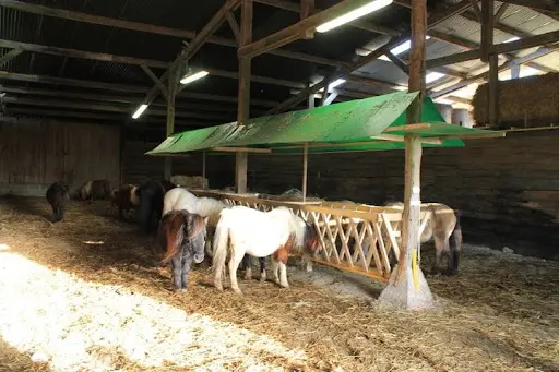 Ferme Équestre de Beaufresne