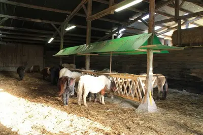 Ferme Équestre de Beaufresne