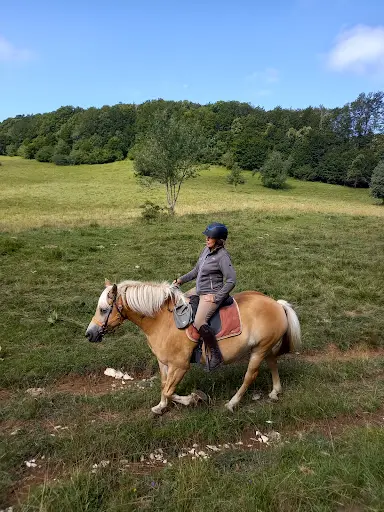 Equus Pleine Nature