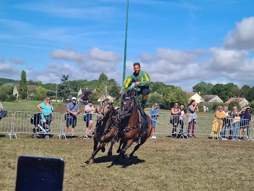 Action Equestre