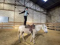 C.r. Horse Training