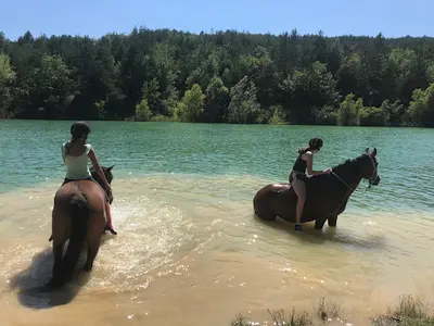 Centre Equestre l'Arc des Duyes