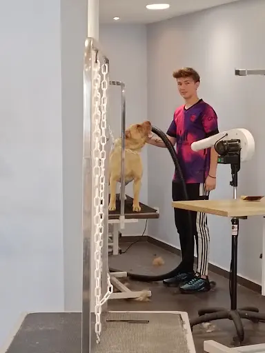 l'Elégance Canine Hénin Beaumont