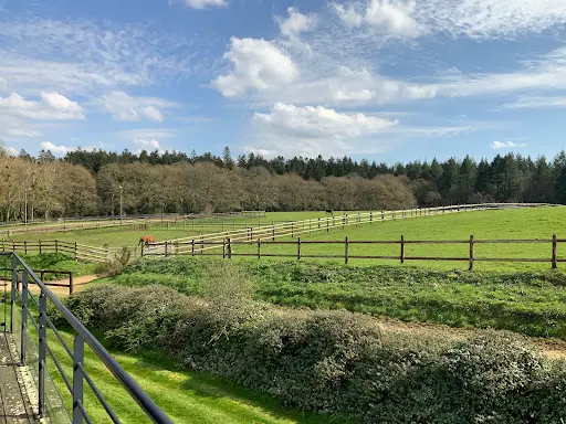 Haras du Blavet