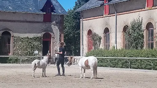 Le Haras National d'Hennebont