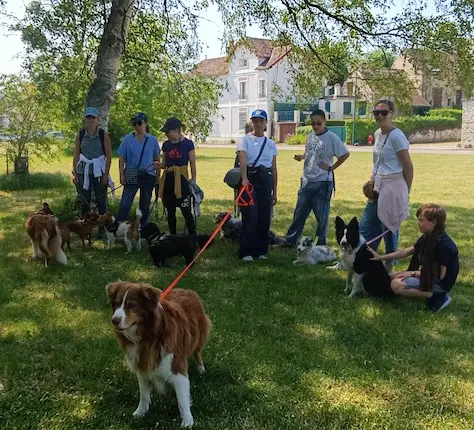 Hubert Hamot Éducateur Canin À Hennezis Entre les Andelys, Vernon et Magny en Vexin
