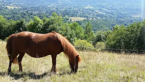 Les Écuries Toltèques