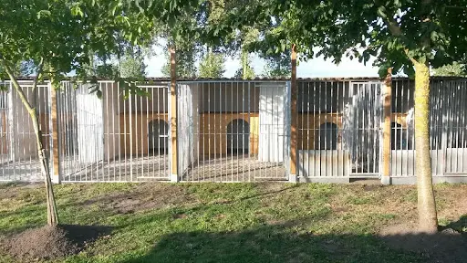 Pension Diablotin Dog