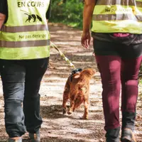 Pawtynose Educateur Canin (comportement, Activités de Flair)