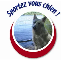Pension Canine et Centre d'Éducation Canine Sportez Vous Chien