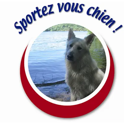 Pension Canine et Centre d'Éducation Canine Sportez Vous Chien