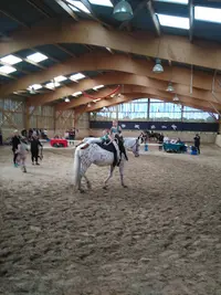 Les Ecuries du Petit Dan Yannick