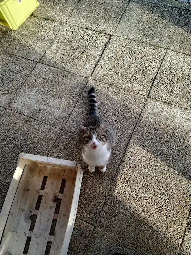 Educat Canin