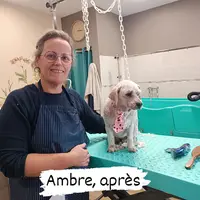 La Fée Canine