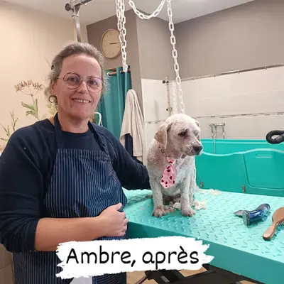 La Fée Canine