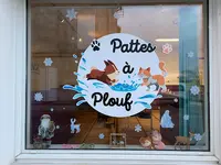Pattes À Plouf