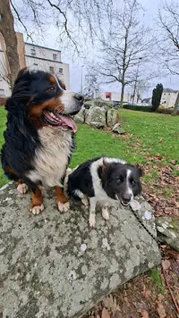 On Va S Promener - Dog Walker & Pet-sitter, Éducateur Canin