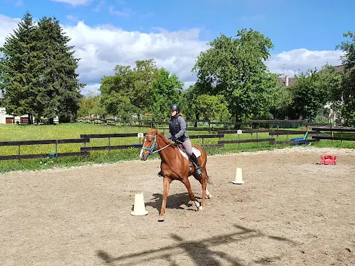 École Pour Jeunes Chevaux - Écurie de Helsa