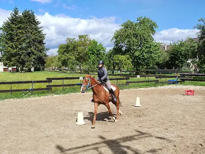 École Pour Jeunes Chevaux - Écurie de Helsa