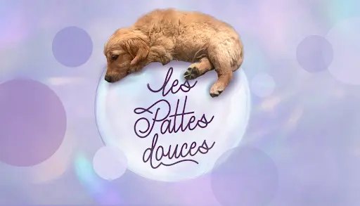 Les Pattes Douces