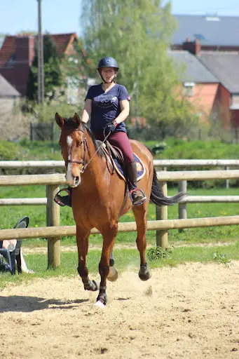 Ecurie Equivalor