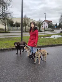 Éducation Canine la Félicité des 4 Pattes