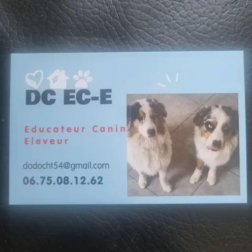 Dc Éducateur Canin