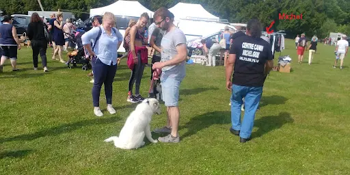 Michel Gioé - Educateur Comportementaliste Canin Hazebrouck