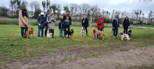 Leadership Dog (educateur Comportementaliste Canin)