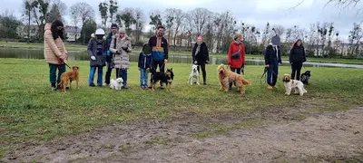 Leadership Dog (educateur Comportementaliste Canin)