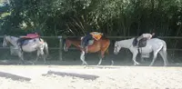 Centre Equestre du Cardin