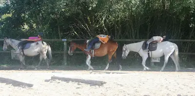 Centre Equestre du Cardin