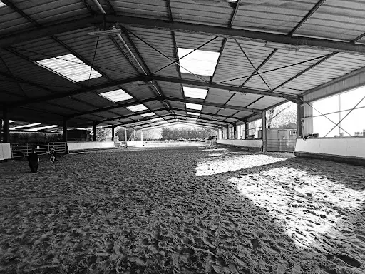 Haras du Saint-acaire