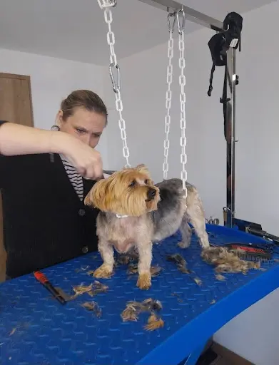 Aux Six’os