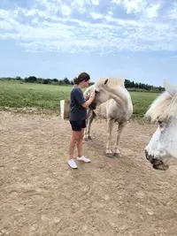 Haras Ange Blanc
