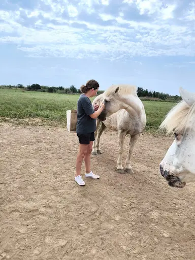 Haras Ange Blanc