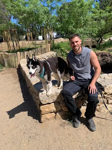 l'Instinct du Loup -éducateur Canin Spécialisé au Comportement